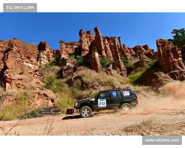 狂野越野风暴2024汽车赛事直播激情速度现场直击极限挑战冠军之战