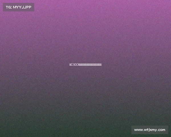 《CSGO职业之路：从入门到参赛完全指南》